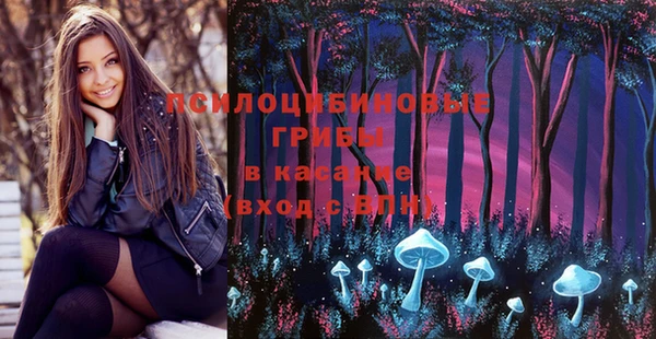 MESCALINE Аркадак
